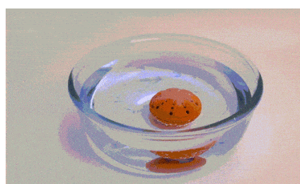 성공 예감: 세제 없이 설거지를...물만 있으면 된다