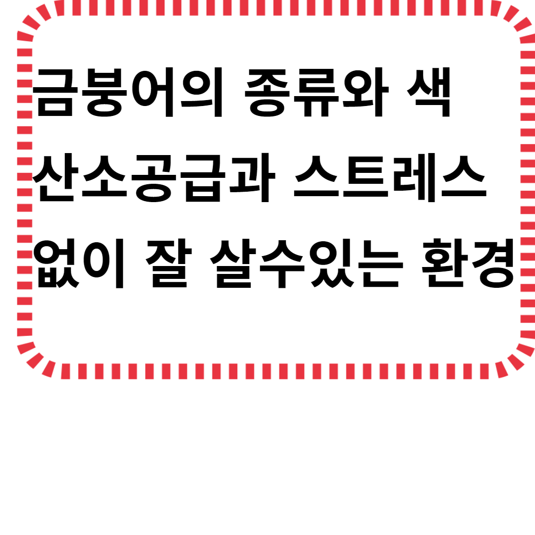 금붕어의 종류와색, 산소공급과 스트레스없이 잘 살수있는 환경글