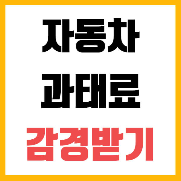 자동차 과태료 감경