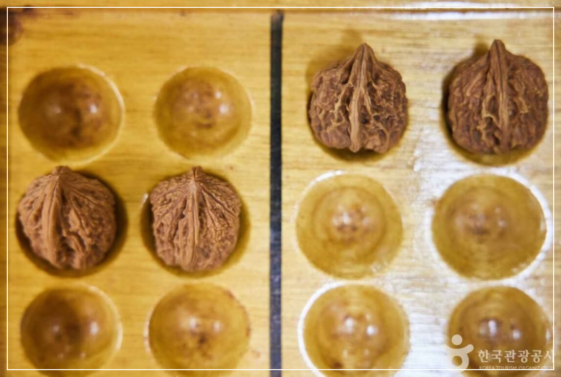 장흥 가볼만한곳 베스트10 귀족호도박물관