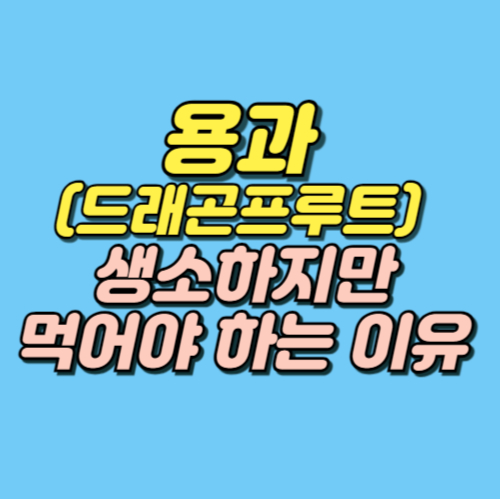 용과 효능 부작용