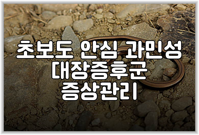 초보도 안심 과민성 대장증후군 증상관리