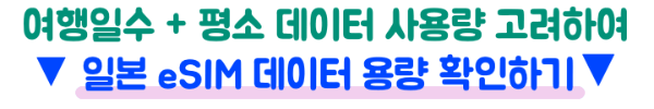 일본-eSIM-4일-데이터-용량-기준