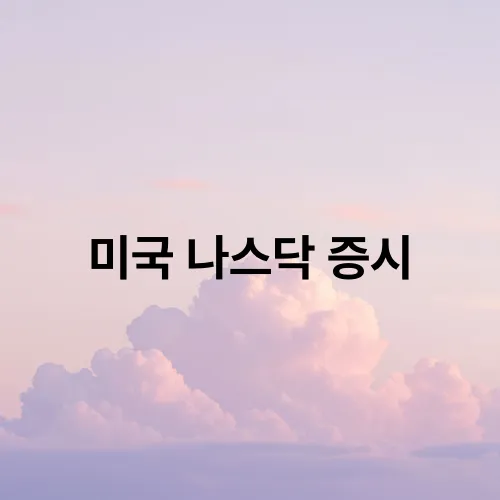 미국 나스닥 증시