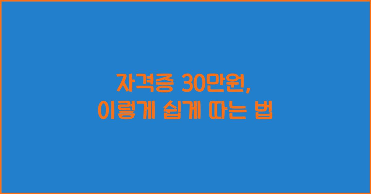 자격증 30만원