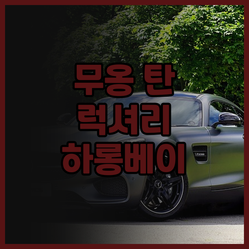 무옹 탄 럭셔리 촹 닌 호텔 후기 하