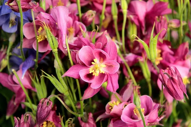 충북 보은 구병산 최단 등산코스 난이도 거리 정보 정리_1