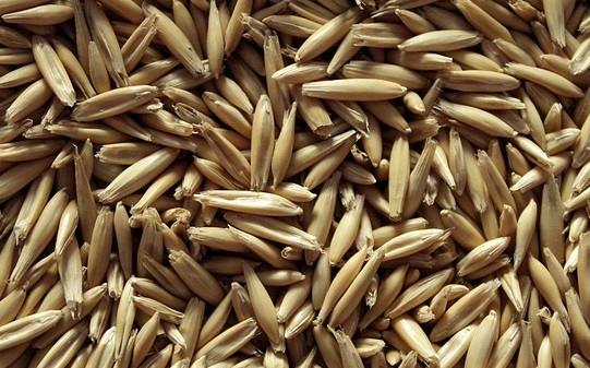 고혈압에 좋은 음식 10가지 추천하기