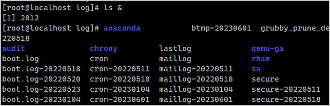 백그라운드 명령어