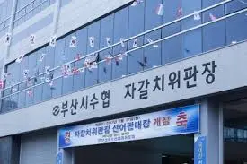 부산 자갈치 위판장