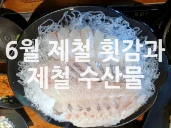 6월 제철 횟감 맛집 어디서 먹는 게 가장 맛있을까요 지역별 상세 추천_11