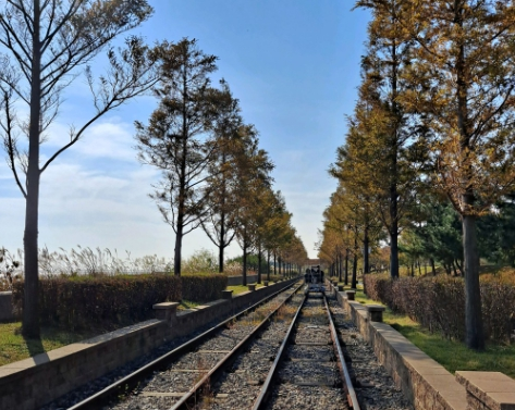 영종씨사이드레일바이크