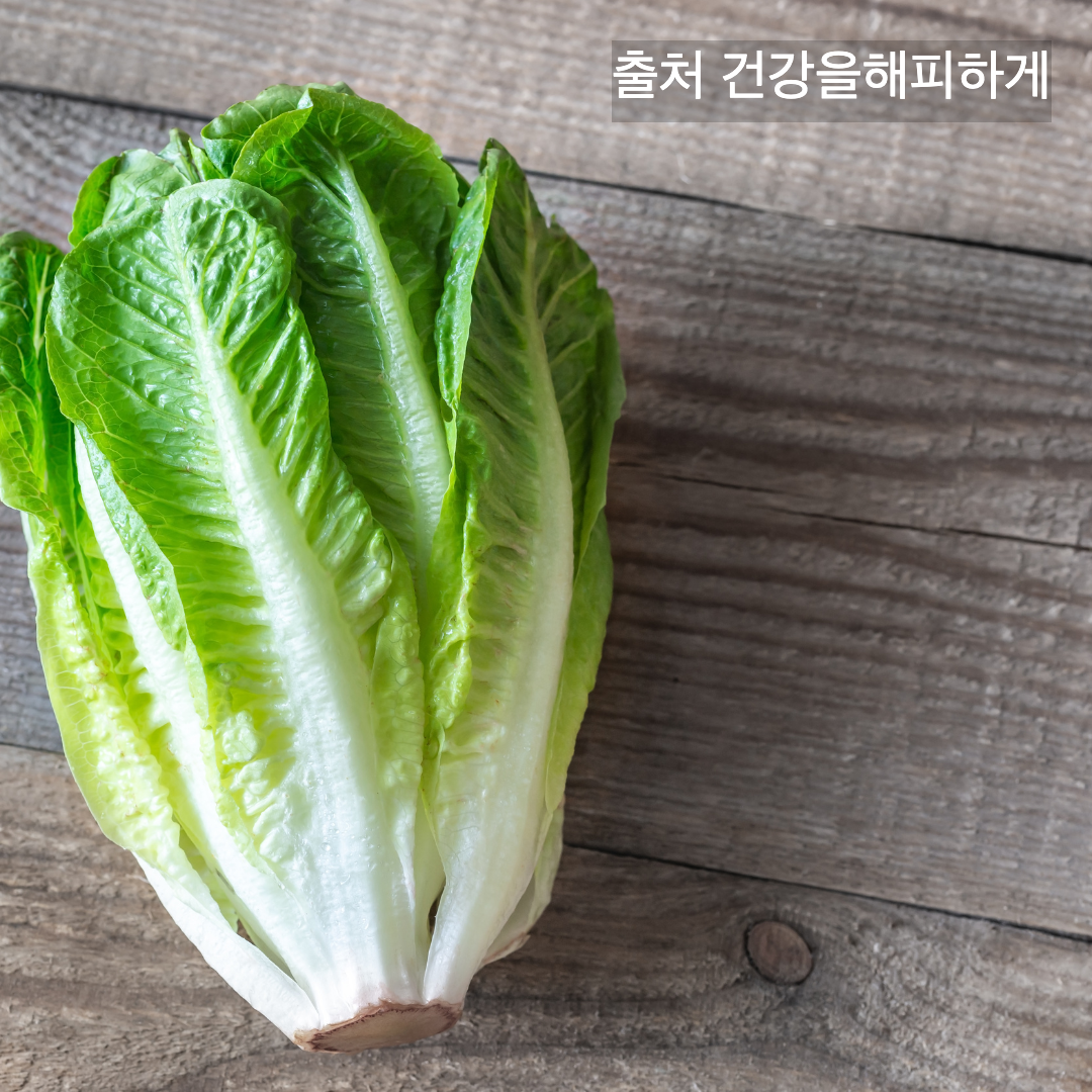 상추의 효능 부작용 칼로리 다이어트할 때 꼭 알아야 할 상극 음식
