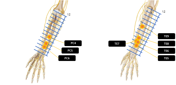 아래팔 전완 주변 혈자리 요약
