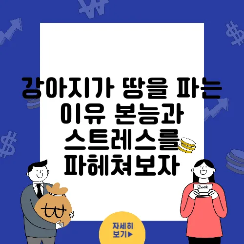 강아지가 땅을 파는 이유 본능과 스트레스를 파헤쳐보자