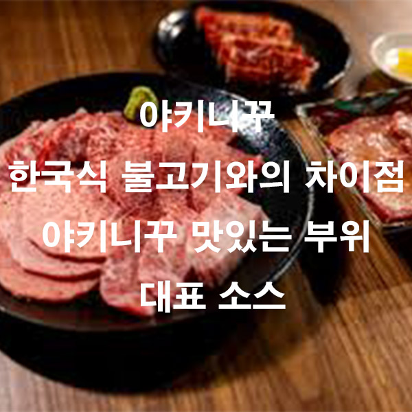 야키니꾸 한국식 불고기와의 차이점 야키니꾸 맛있는 부위 대표 소스