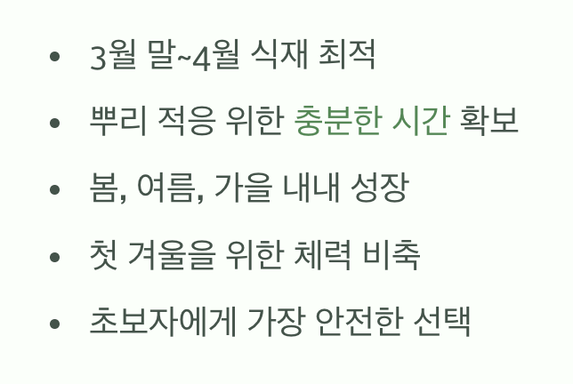 봄 식재, 성공으로 가는 가장 안전한 길