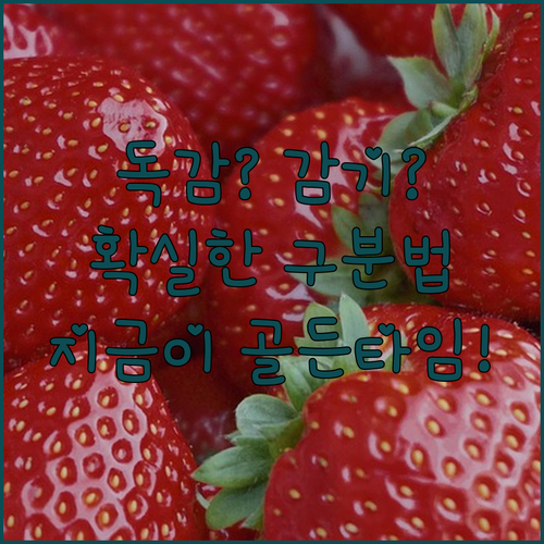 어린이 A형 독감과 일반 감기 구별법..