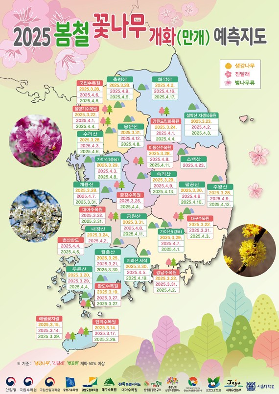 2025 봄철 꽃나무 개화 예측지도