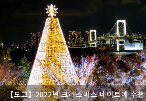 크리스마스 트리 모양의 조명물 사진