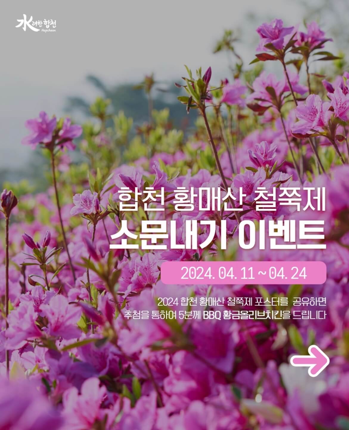 황매산 철쭉축제 기간