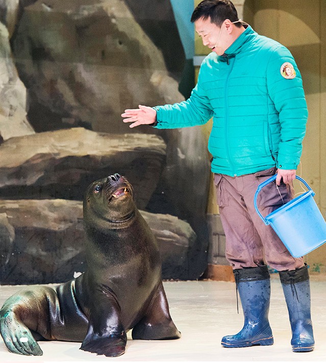 주말 아이랑 가기 좋은 곳 추천 - 애버랜드