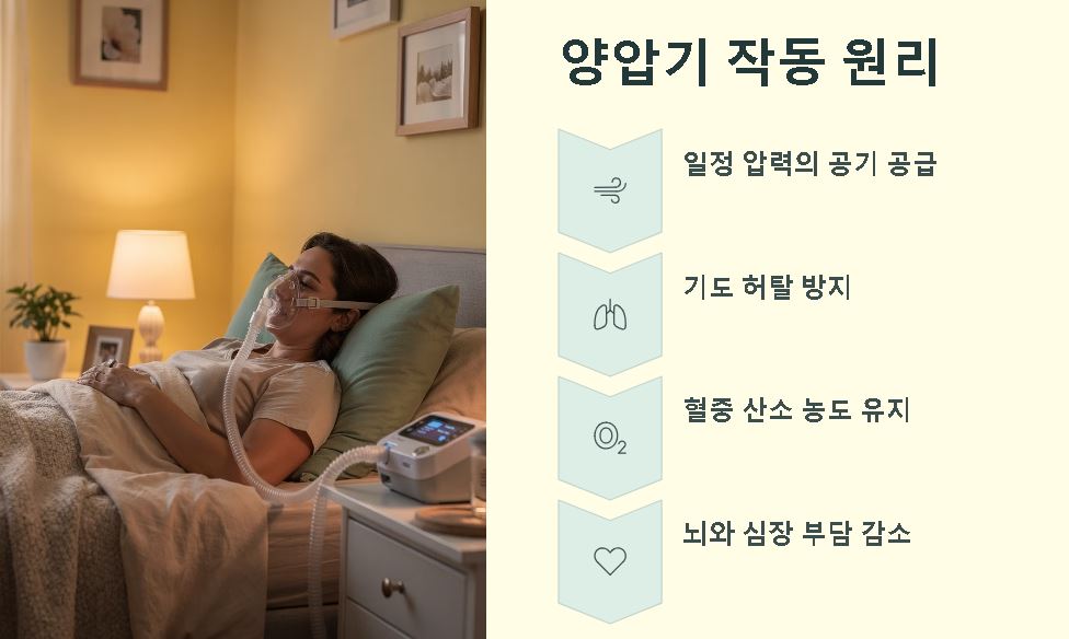 코골이 치료법 원인별 대처 기준