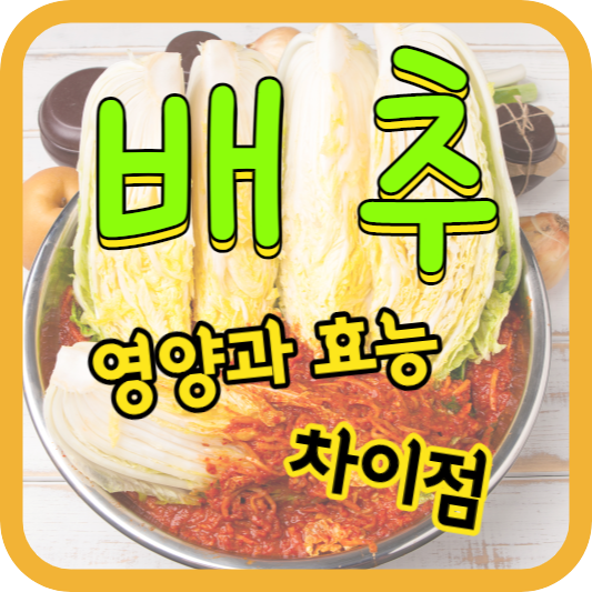 배추와 관련된 내용의 포스팅임을 알려주는 썸네일