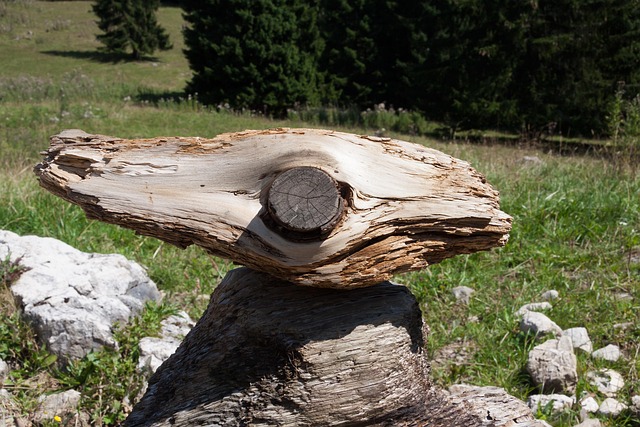 쿠팡 결제카드 변경 결제수단 삭제 방법