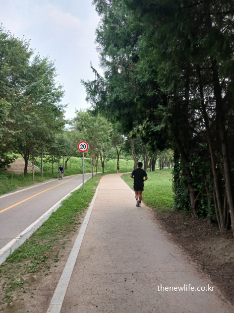 공원 산책로에서 슬로우 조깅을 실천하는 남성의 뒷모습
