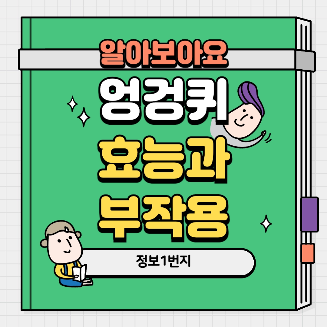 엉겅퀴 효능과 부작용