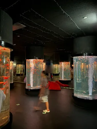 대구 데이트 코스 추천 연인과 특별한 하루 보내는 방법_26