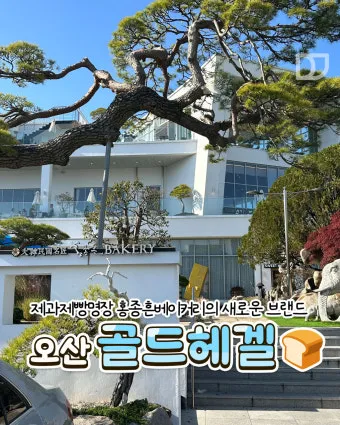 정신현상학 게오르그 빌헬름 프레드리히 헤겔 철학적 체계_18