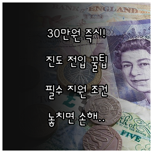 2025 진도 아리랑상품권 30만원 ..