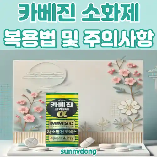 카베진 소화제, 복용법 및 주의사항 썸네일