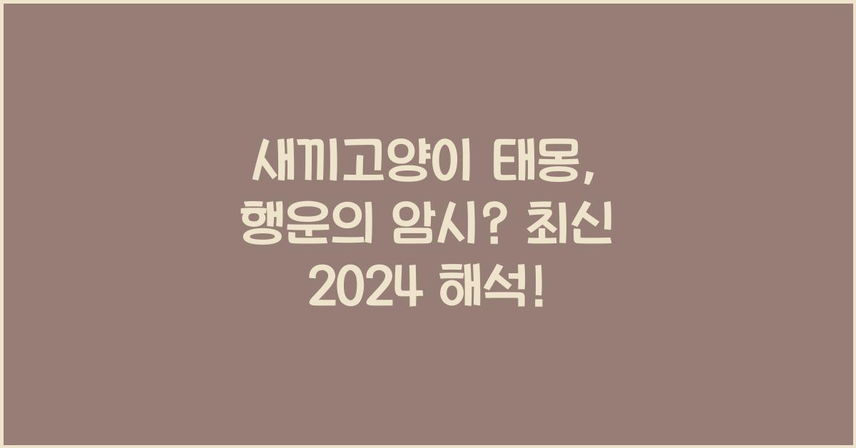 새끼고양이 태몽