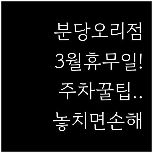 홈플러스 분당오리점 3월 휴무일과 구..