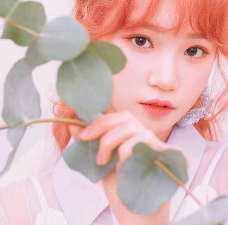 김채원 사진 모음