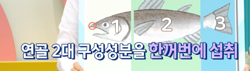 프로테오글리칸