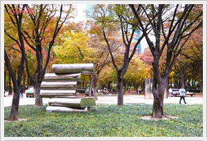 서울숲단풍