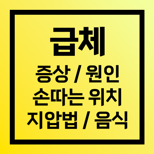 급체 증상