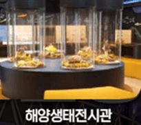 서울에서 완도 가는길