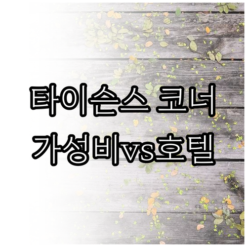 버지니아 타이슨스 코너 숙소 추천 가..
