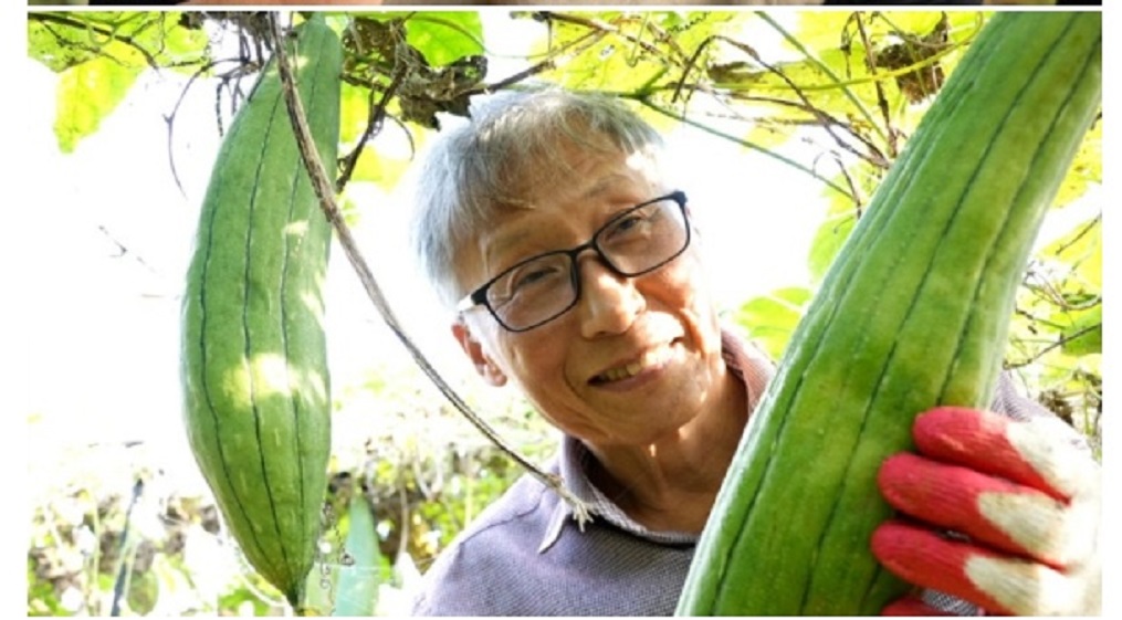 한국기행-수세미-발효액-정광환