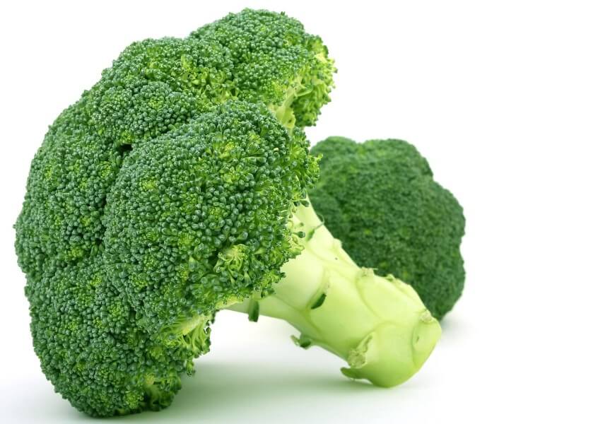 싱싱한 브로콜리