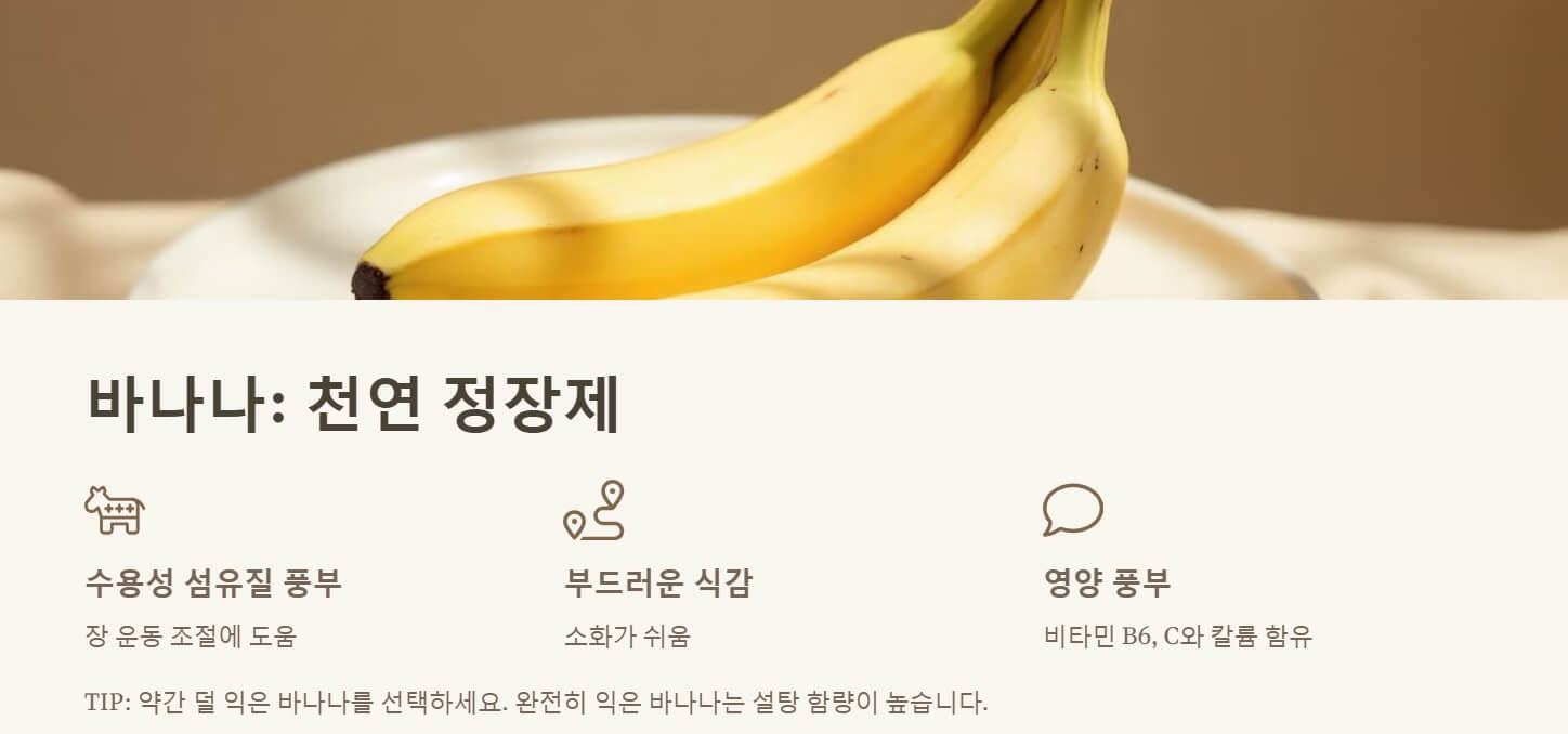 배탈 설사에 좋은 음식