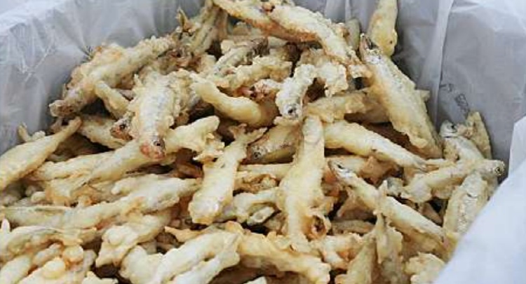 청양 알프스마을