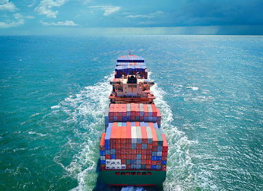 hmm 배당금 지급일