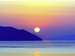 ENTJ 유형 특징 분석