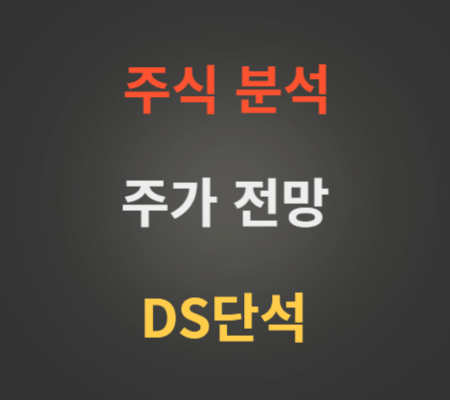 DS단석 주가 전망 분석 (11월4주)